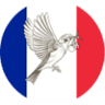 Moineaux Meyraguet