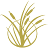 Mokelumne Federal Credit Union