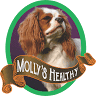 Molly's Healthy Pet Food Market
