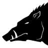 MombiSurf | Tienda y alquiler de Snowboard