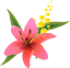 Momento Magico Flowers