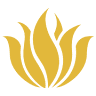 Momentum Coaching & Yoga