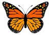 Monarch Academy for Young Children
