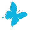Monarch Transition Education Program (MTEP)