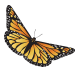 Monarch Cremation