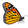 Monarch Realty, Inc.