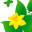 Green me natural food & beauty
