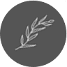 Mondo Floral Designs