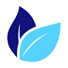 Moneytree Wealth Management Ltd