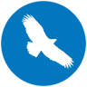 Parque Nacional Monfragüe -Monfragüe Natural Ecoturismo