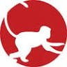 Monkey Building