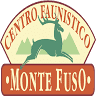 Area Camper - Monte Fuso