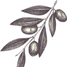 Monterosa Olive Oil