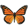 Montessori of New Paltz