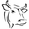 The Moody Cow