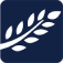 Moody Funeral Services Inc