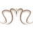 Mooresville Endodontics