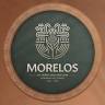 Comisaria Ejidal de Tejalpa Morelos