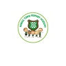 Morice Town Primary School