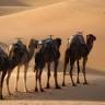 Morocco itran trips Company
