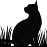 Morrisville Cat Hospital