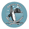 Morro Bay Whale Watching