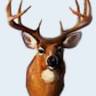 Morse Sporting Goods