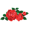 Morwell Centenary Rose Garden
