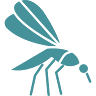 Mosquito Steve
