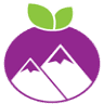 mountain berry bowls kalispell