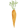 Mountain Roots Food Project