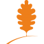 Mount of Oaks
