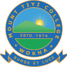 Mount Tiyi College