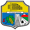 Gimnasio Municipal Pitrufquén
