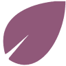 MP Pharma