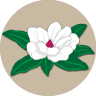 Mrs Lacy's Magnolia House