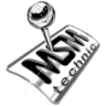 MSM Caja de cambio