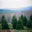 Mount Hunger Christmas Tree Farm