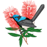 Mount Nathan Nursery & Propagation