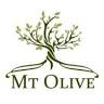 Mt Olive Lutheran Church