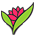 Muda Flor