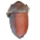 Muku