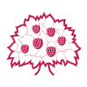 Mulberry Bush Ltd Toys