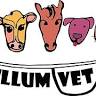 Mullumbimby Veterinary Clinic