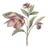 Mum's Flowers