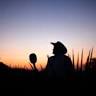 Agave Fields / Fields Mundo Cuervo Agave