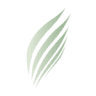 MUNDUS VIRIDIS D.O.O.
