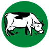 Mungalli Creek Dairy Cafe