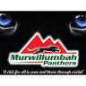 Murwillumbah Cricket Club