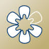 Iryo Hojin Shadan KDG Musashikosugi Family Dental Clinic